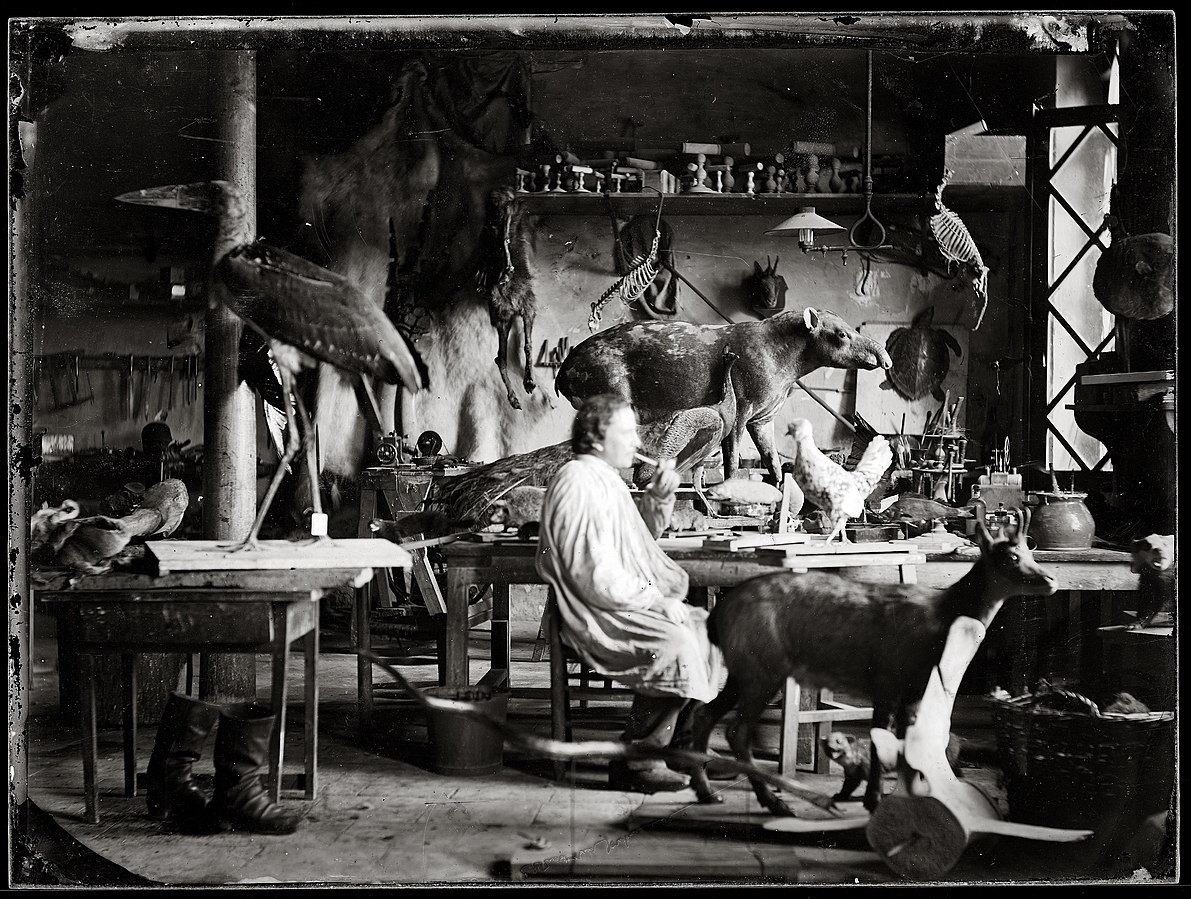 1191px MHNT PHa 1824 06 001a