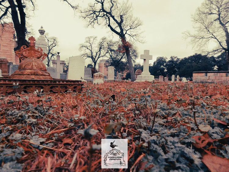 459058578 1097000568473459 1596273959221791543 n 459058578 1097000568473459 1596273959221791543 n