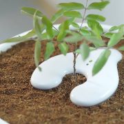 Environmentally Friendly Burial