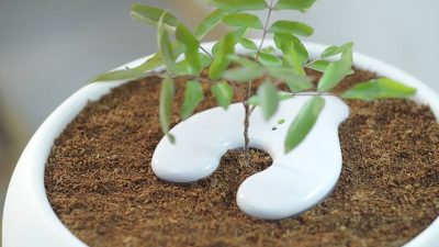 Environmentally Friendly Burial