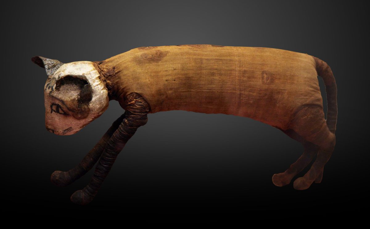 Cat mummy E 2815 IMG 4775 gradient