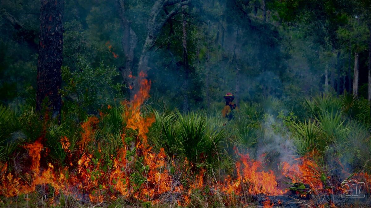 heartwood conservation cemetery heartwood conservation cemetery