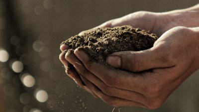 A pair of male hands holding compost that has turned into dirt