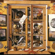 Morbid Cabinet of Curiosities