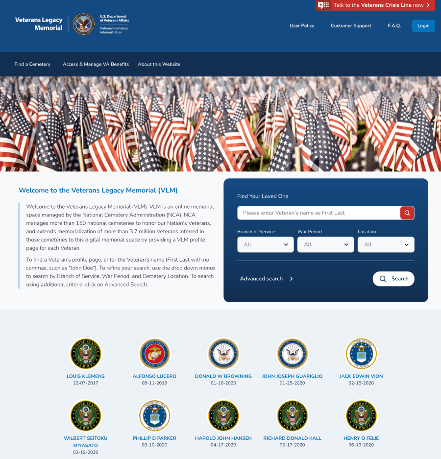 Screenshot of VLM website