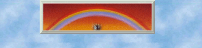 Grief Support Forums