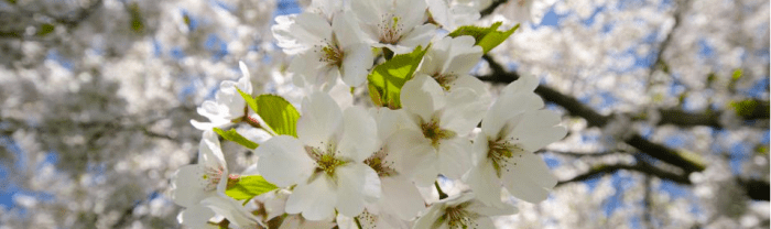 Grief Support Forums