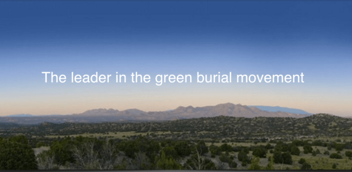 Urban Death Project quote